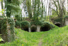 cave vigneronne authentique